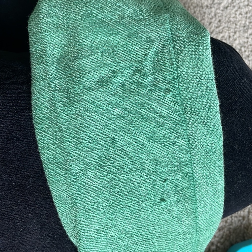 Free People We the Free Green Crest Hoodie RARE - Picture 10 of 11
